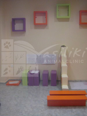 waiting area preparing14